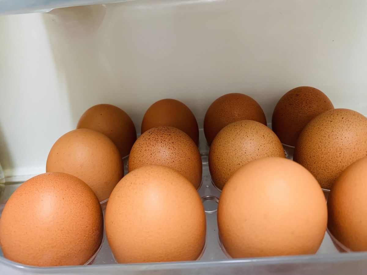 冷蔵庫に並べられた卵