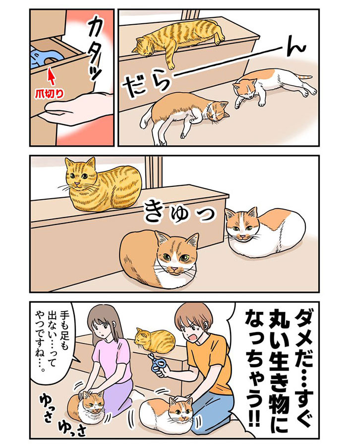 猫の漫画の画像