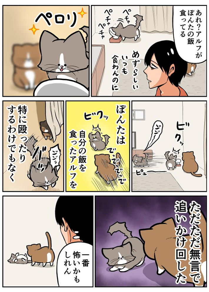 鴻池剛（@TsuyoshiWood）さんの猫漫画