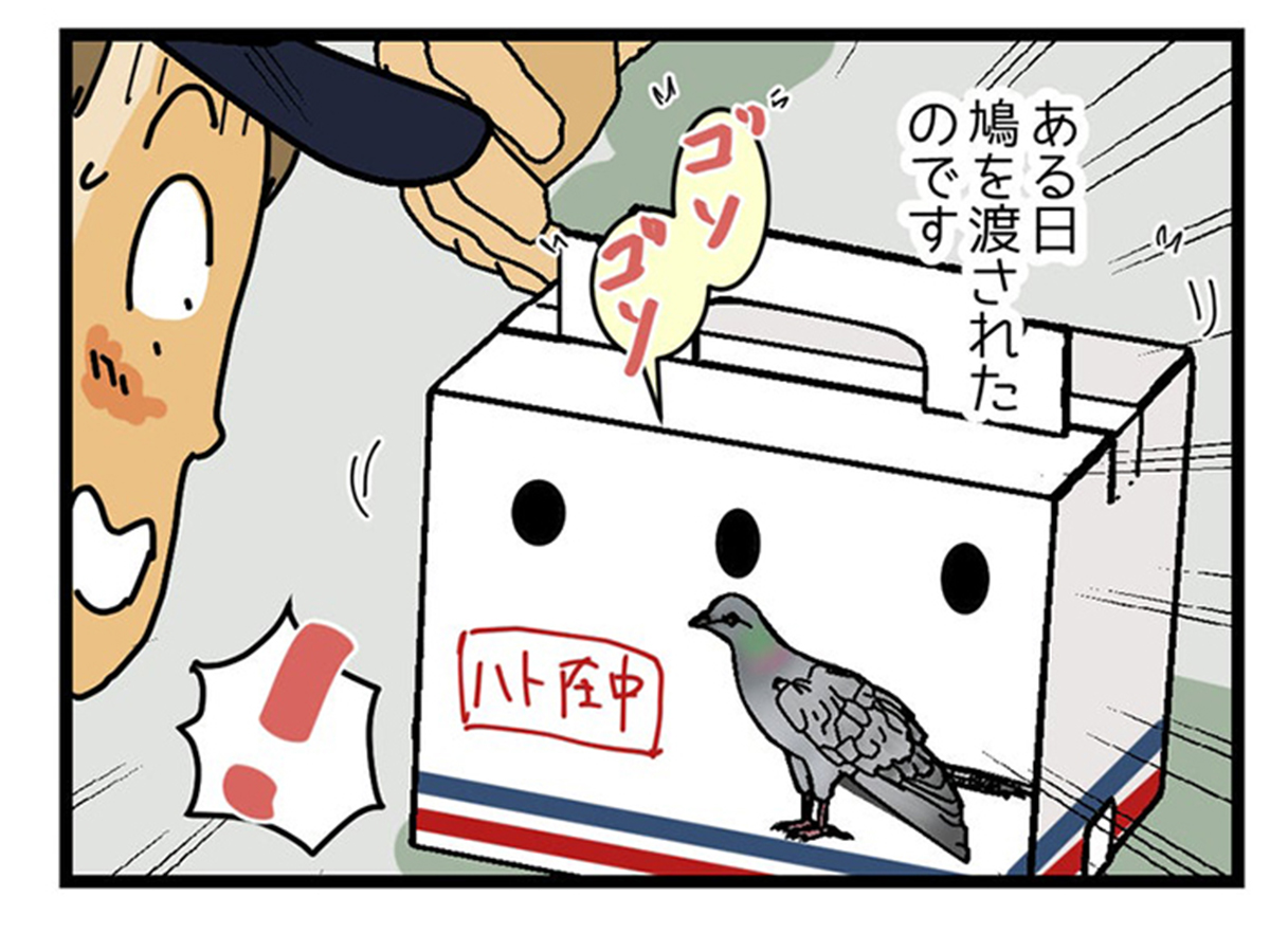 ゆきたこーすけさんの漫画の画像