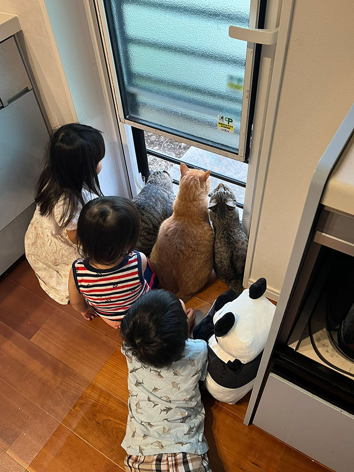 猫と子供の写真