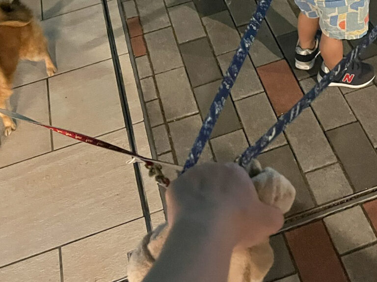 子供と犬の写真