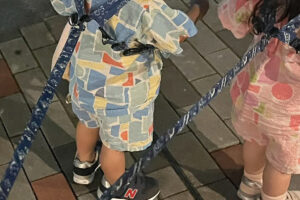 ミズノ 青ビュー 左 大人用 野球 グローブ イチロー 鈴木一朗 ICHIRO ミズノ 青ビュー 左 大人用 野球 グローブ イチロー 鈴木一朗