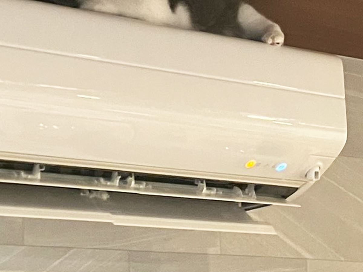 猫とエアコンの写真