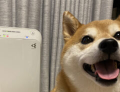 柴犬と空気清浄機の写真
