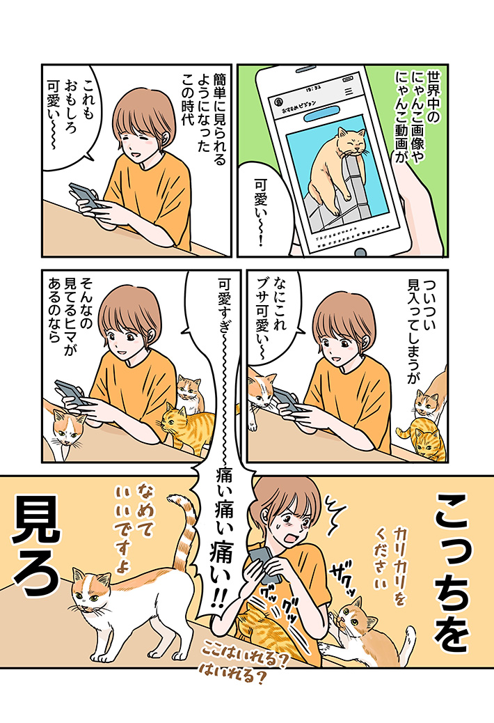 たなかふじもと（@tanaka_fujimoto）「見てほしい猫」画像