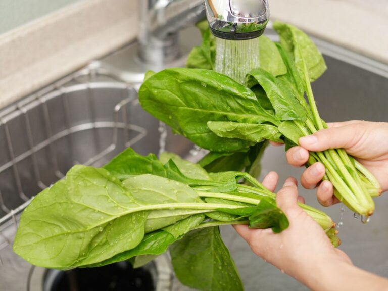 野菜を食器に トップ