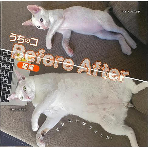 『【猫の写真集】うちのコＢｅｆｏｒｅ　Ａｆｔｅｒ　猫編』の画像