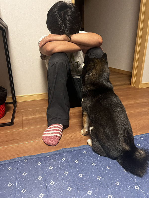 柴犬と飼い主の写真