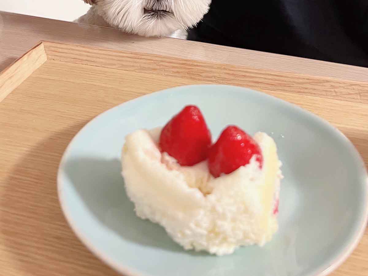 ケーキの写真