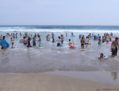 海水浴場の写真