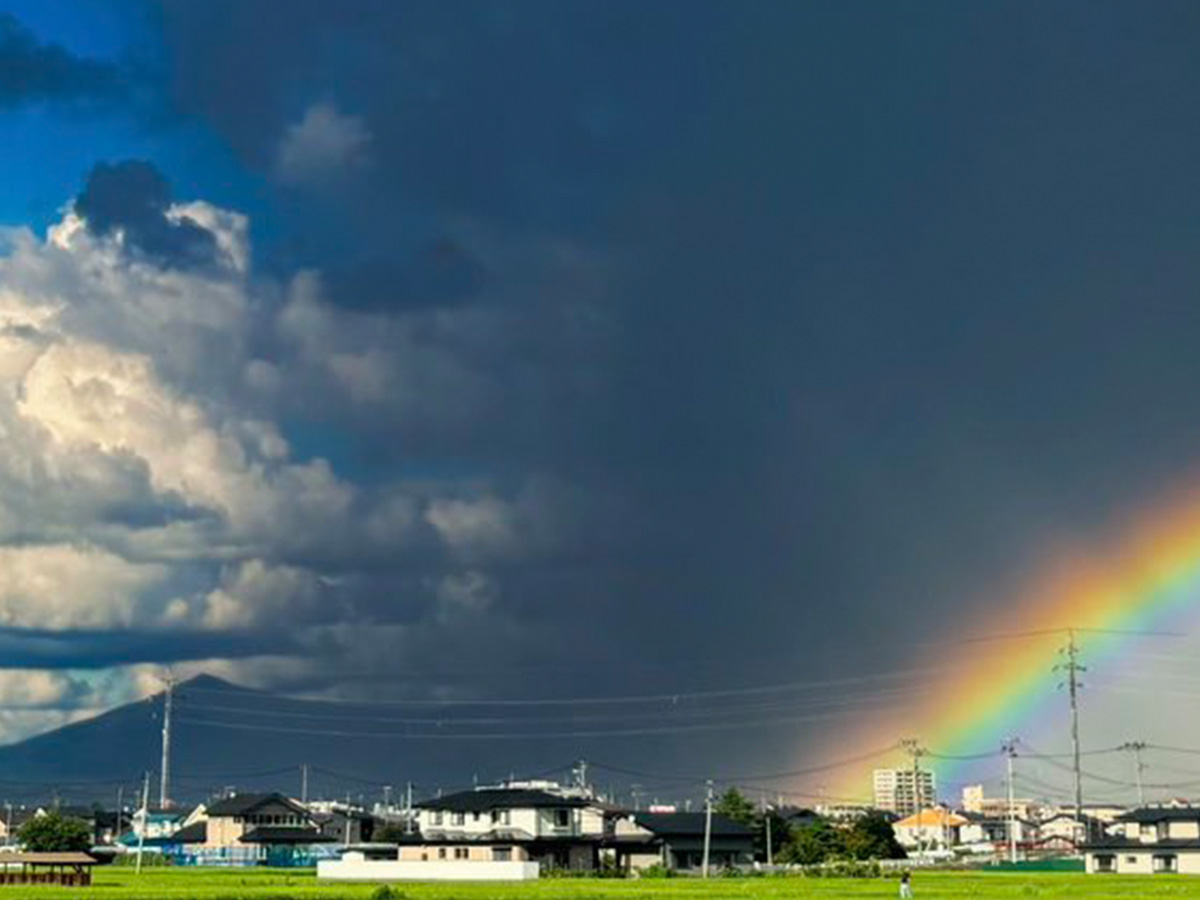 夏空の写真