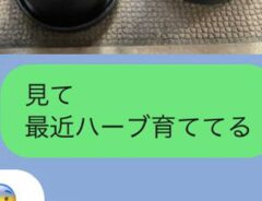 母親とのLINE