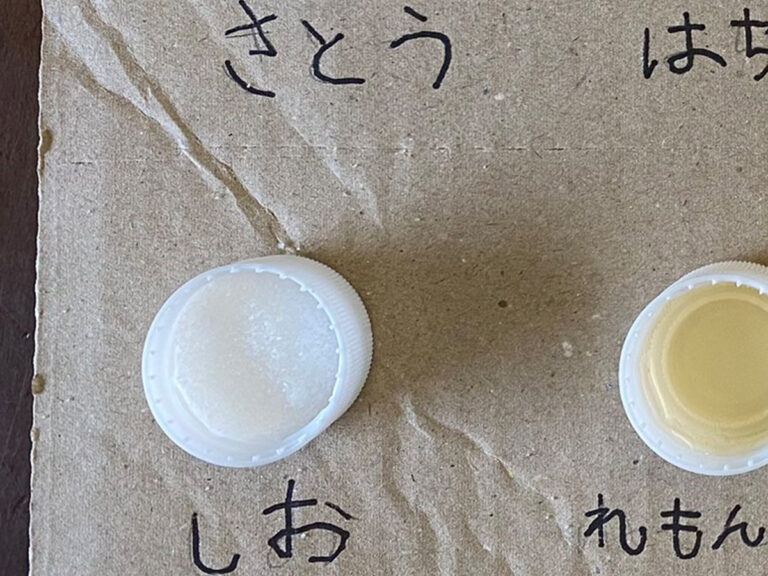 自由研究の写真