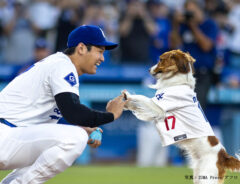 大谷翔平の愛犬・デコピンが、見事な始球式！　動画に「お利口さんやな～」