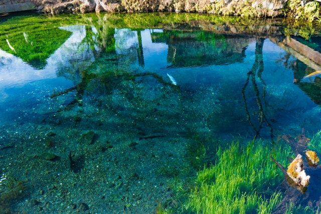 忍野八海の画像