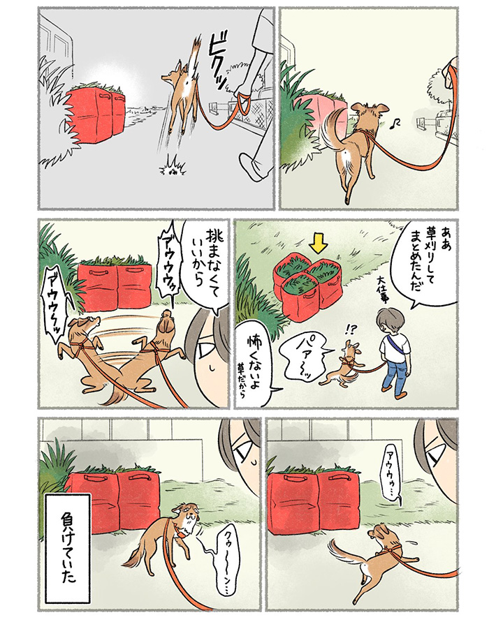 さかぐちまやさんの漫画の画像