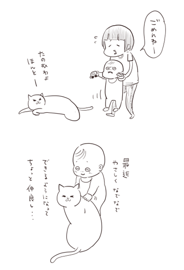 猫の漫画