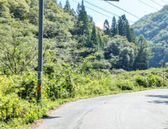 道路標識の写真