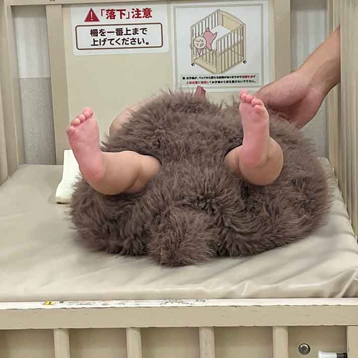 子供の写真