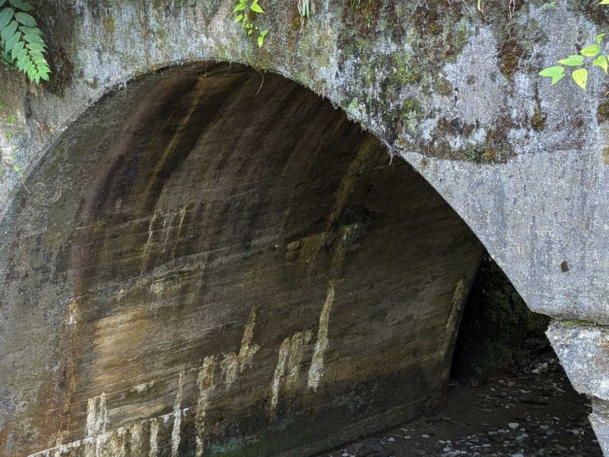 円原川の画像