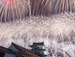 利根川大花火大会の画像