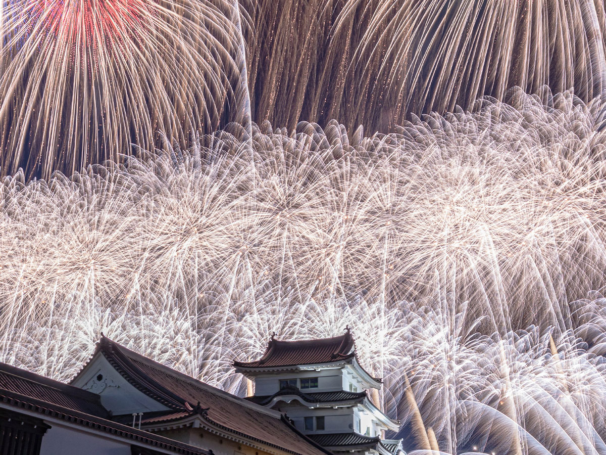 利根川大花火大会の画像