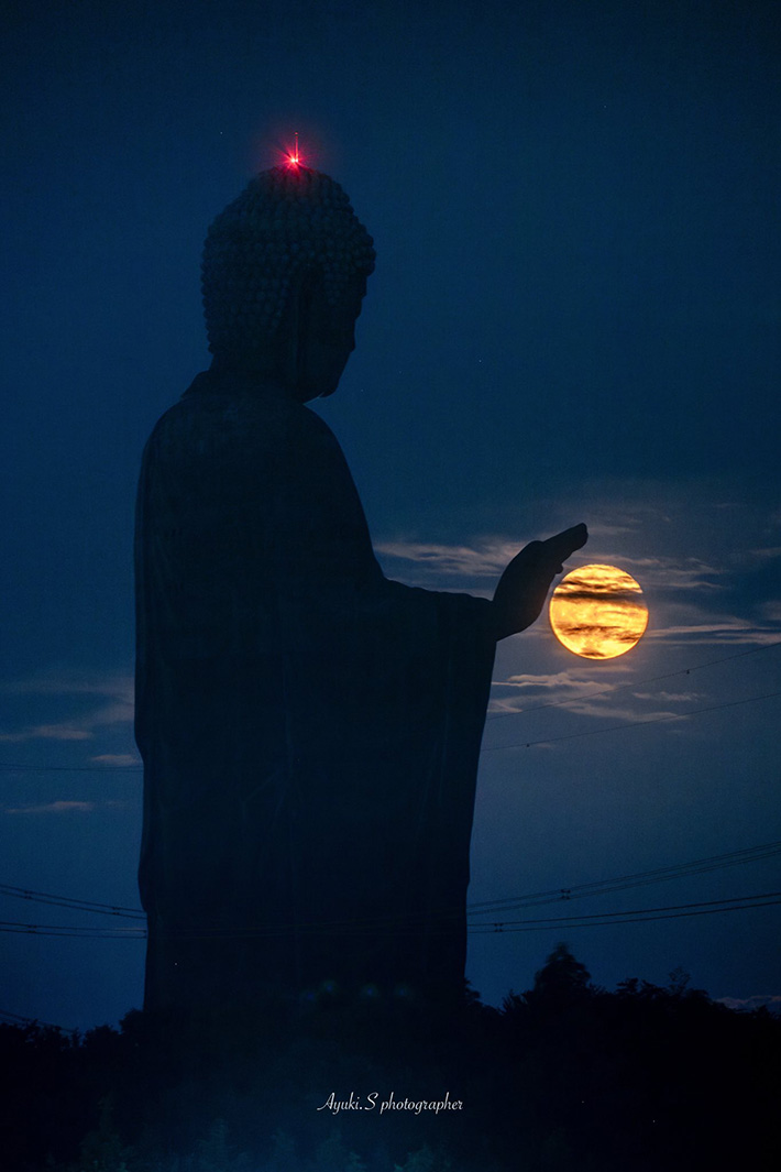 牛久大仏の写真