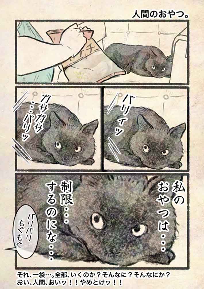 猫漫画のイラスト