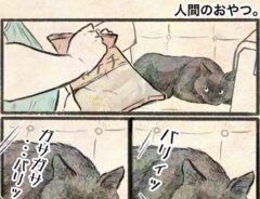 猫漫画のイラスト