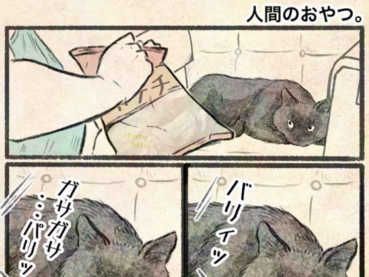 猫漫画のイラスト