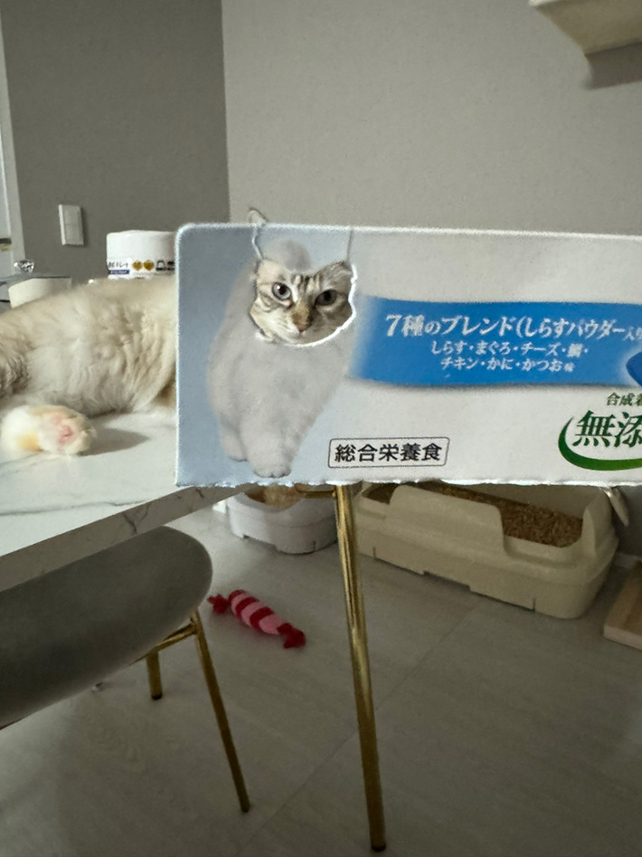 キャットフードのパッケージ写真