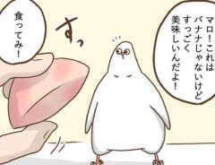 インコの漫画