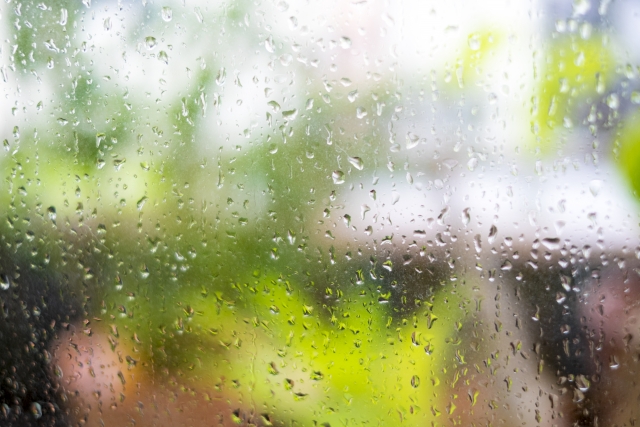 窓ガラスの雨つぶ_水滴の画像