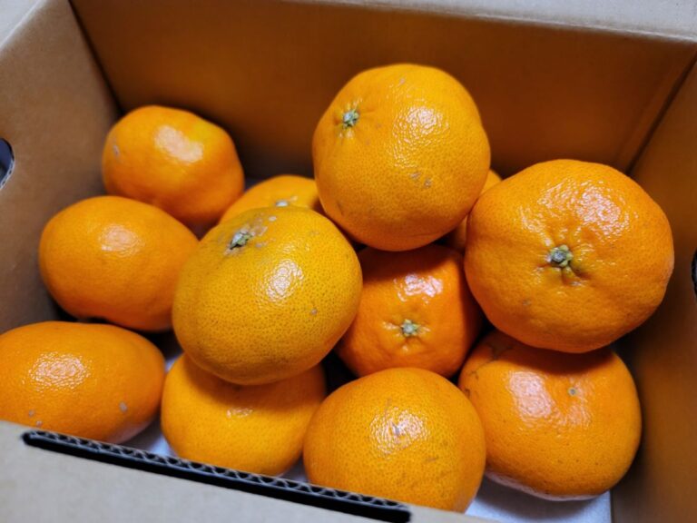 箱に入ったミカン