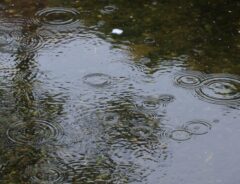 雨が降っている道路