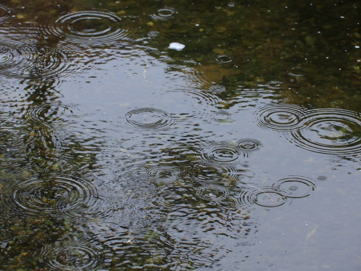 雨が降っている道路