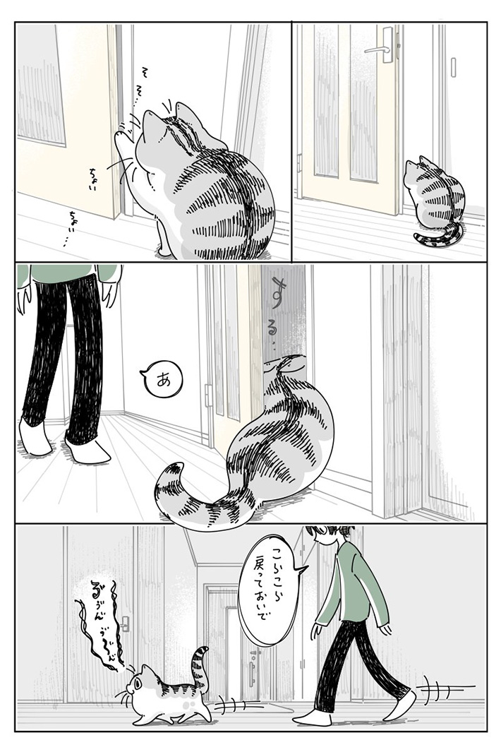 キュルZ（@kyuryuZ）さんの猫漫画