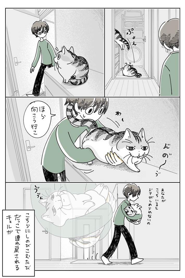 キュルZ（@kyuryuZ）さんの猫漫画