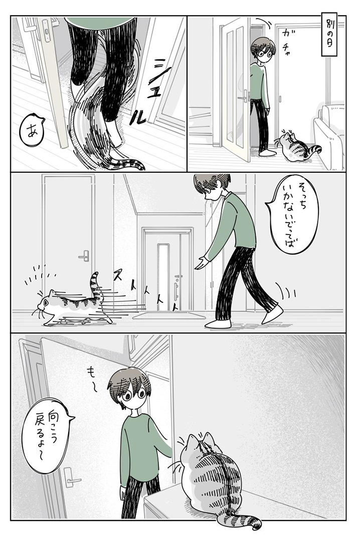 キュルZ（@kyuryuZ）さんの猫漫画