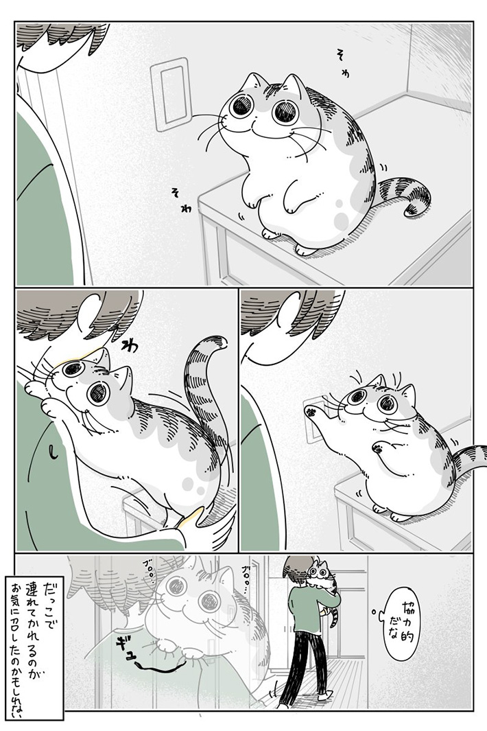 キュルZ（@kyuryuZ）さんの猫漫画