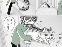 キュルZ（@kyuryuZ）さんの猫漫画