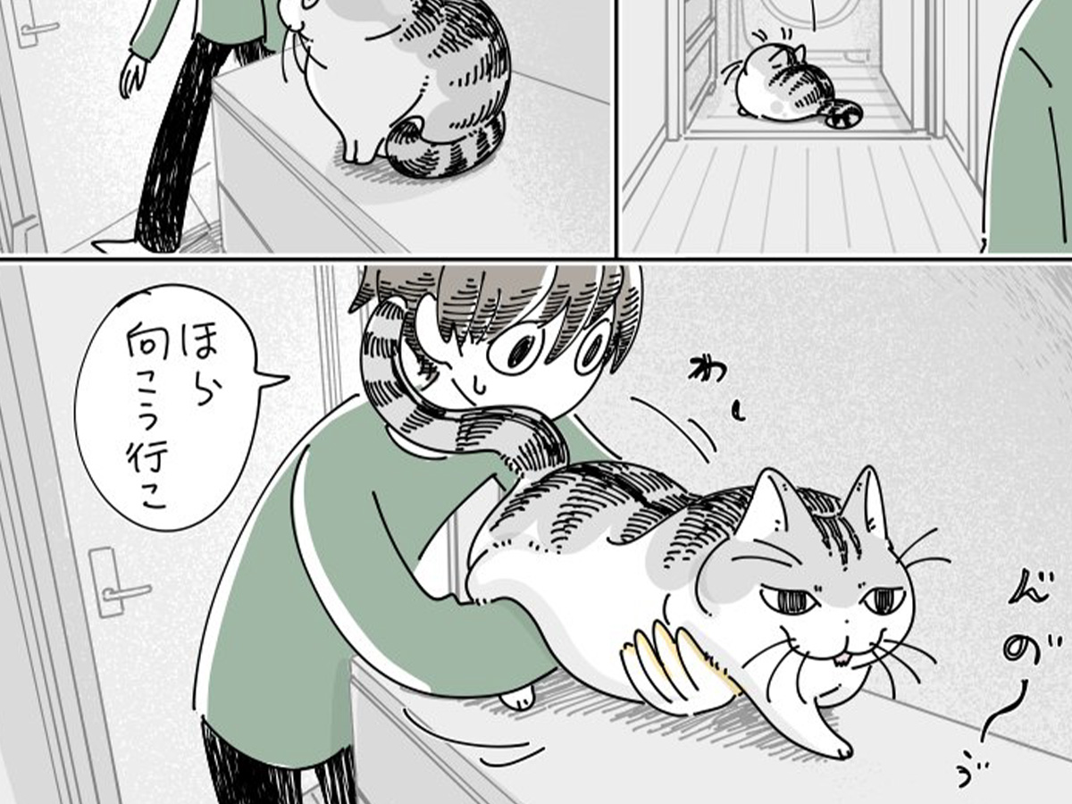 キュルZ（@kyuryuZ）さんの猫漫画