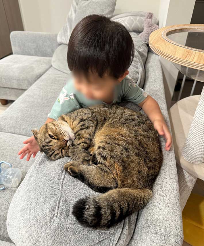 猫と子供の画像