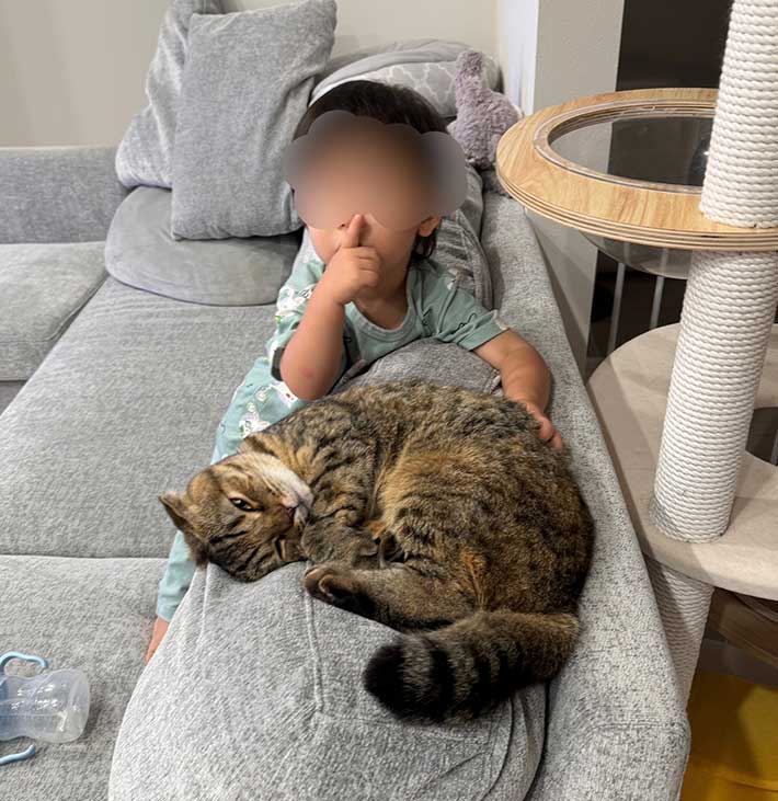 猫と子供の画像