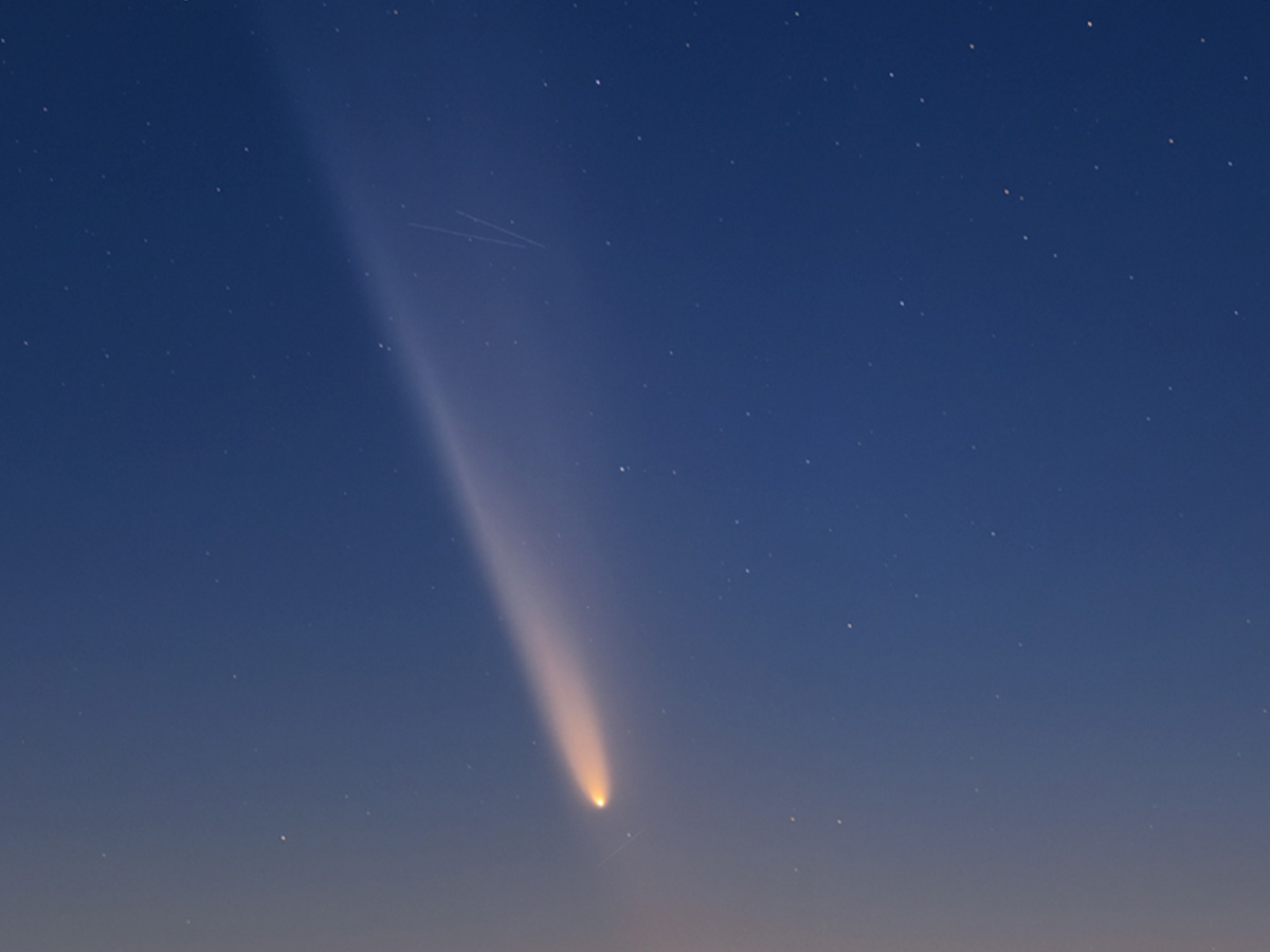 紫金山・アトラス彗星の画像