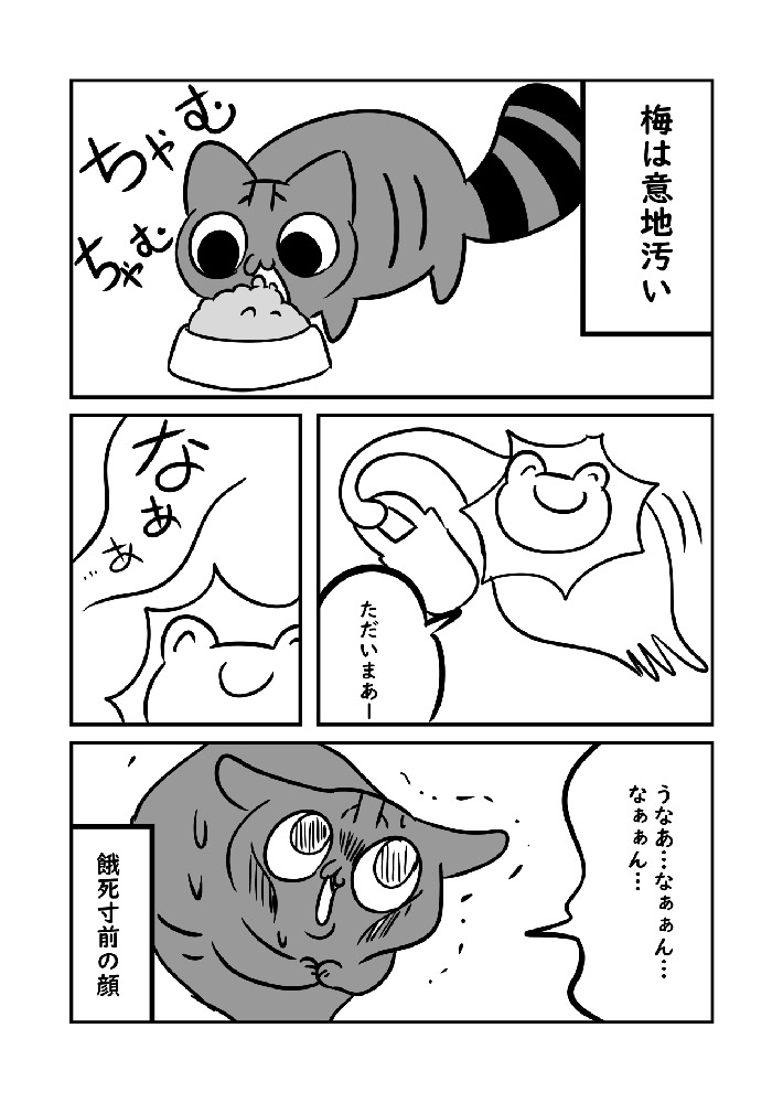 漫画家の、ぬら次郎（@nurajirou）さんが公開した、実家の猫、梅ちゃんのエピソード漫画