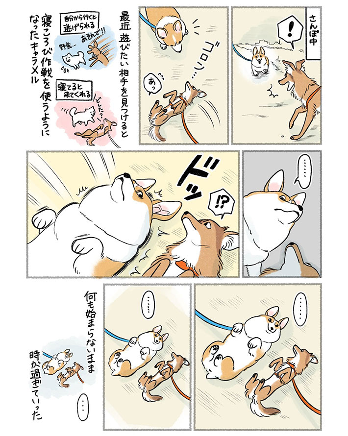 さかぐちまやさんの漫画