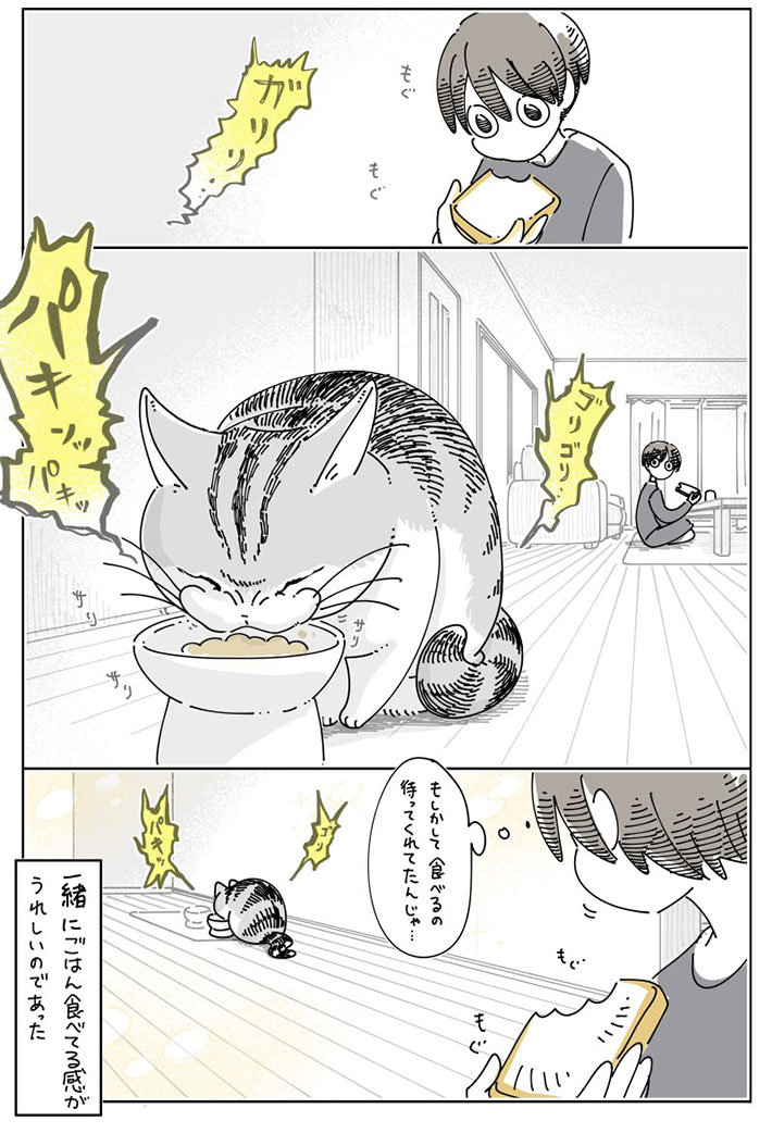 キュルZさんの漫画