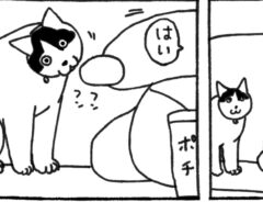 猫の漫画の画像